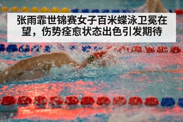 swimming race freestyle