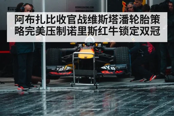 Red Bull racing team