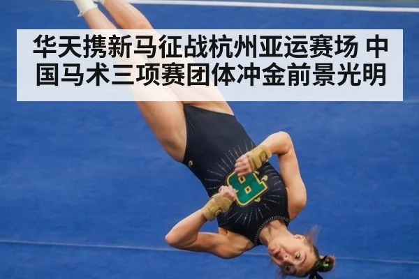 华天携新马征战杭州亚运赛场 中国马术三项赛团体冲金前景光明